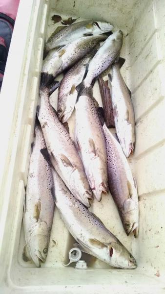 Click image for larger version

Name:	4.jpg
Views:	1
Size:	35.5 KB
ID:	576673