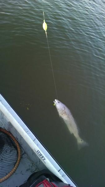 Click image for larger version

Name:	2.jpg
Views:	1
Size:	22.3 KB
ID:	576671