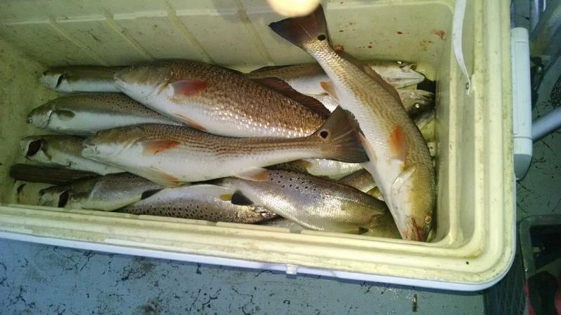 Click image for larger version

Name:	1.jpg
Views:	1
Size:	58.1 KB
ID:	576670