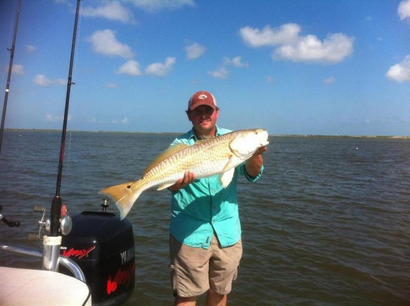 Click image for larger version

Name:	redsk2.jpg
Views:	1
Size:	52.7 KB
ID:	572481