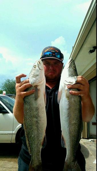 Click image for larger version

Name:	trp5.jpg
Views:	1
Size:	31.2 KB
ID:	561048