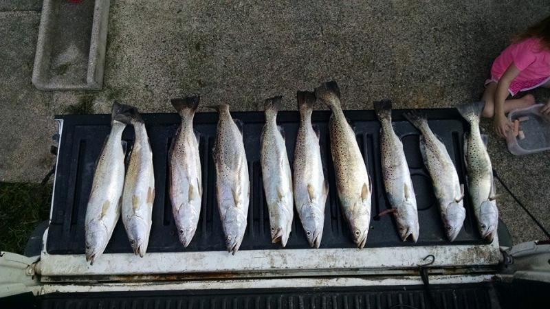 Click image for larger version

Name:	trp3.jpg
Views:	1
Size:	74.7 KB
ID:	561046