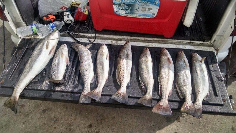 Click image for larger version

Name:	trp2.jpg
Views:	1
Size:	73.0 KB
ID:	561045