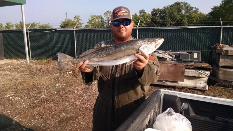 Click image for larger version

Name:	trp1.jpg
Views:	1
Size:	79.2 KB
ID:	561044