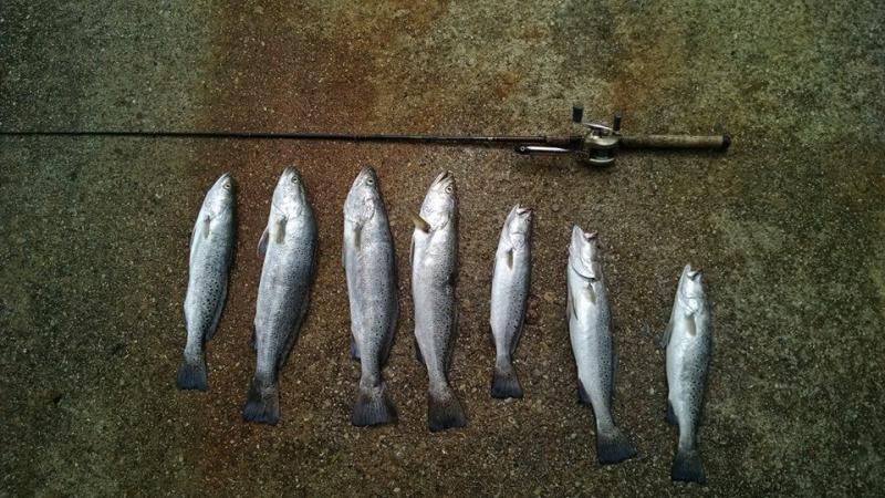 Click image for larger version

Name:	trp 6.jpg
Views:	1
Size:	86.8 KB
ID:	561043