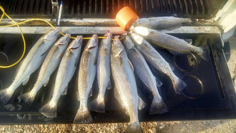 Click image for larger version

Name:	IMG_20150812_075517680_HDR.jpg
Views:	1
Size:	66.9 KB
ID:	576461