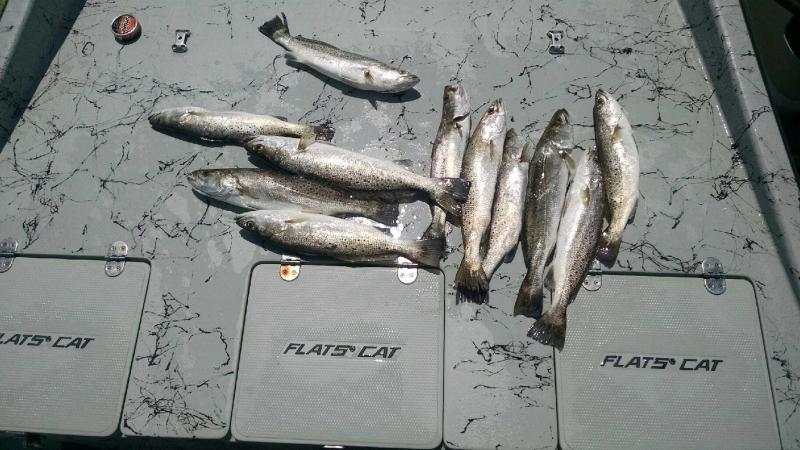 Click image for larger version

Name:	IMG_20150811_143142120.jpg
Views:	1
Size:	70.1 KB
ID:	576460