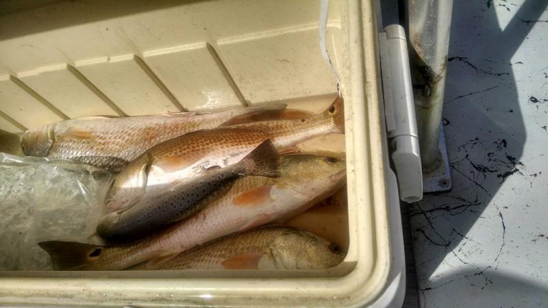 Click image for larger version

Name:	IMG_20150809_102035603_HDR.jpg
Views:	1
Size:	49.4 KB
ID:	576459