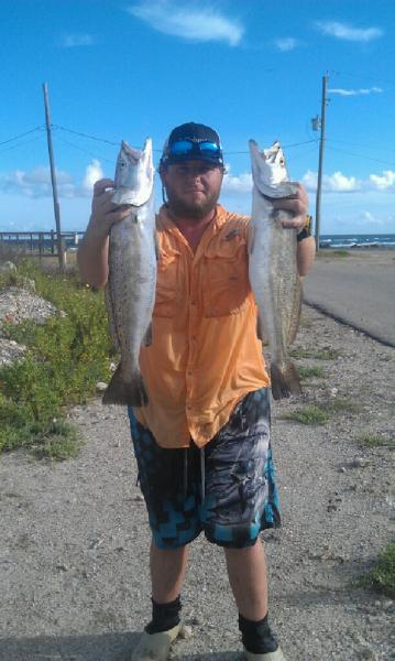 Click image for larger version

Name:	surf75.jpg
Views:	1
Size:	38.4 KB
ID:	574462