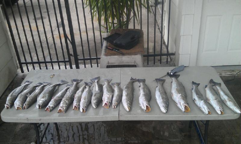 Click image for larger version

Name:	surf74.jpg
Views:	1
Size:	57.2 KB
ID:	574461