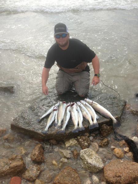 Click image for larger version

Name:	surf73.jpg
Views:	1
Size:	48.7 KB
ID:	574460