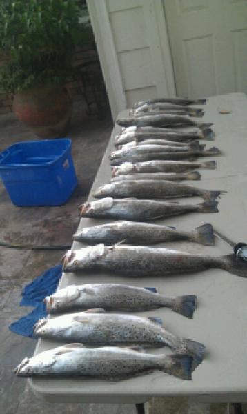 Click image for larger version

Name:	surf72.jpg
Views:	1
Size:	27.3 KB
ID:	574459