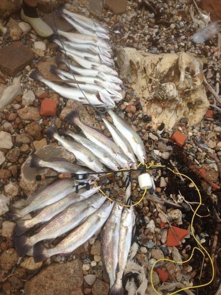 Click image for larger version

Name:	surf71.jpg
Views:	1
Size:	65.7 KB
ID:	574458