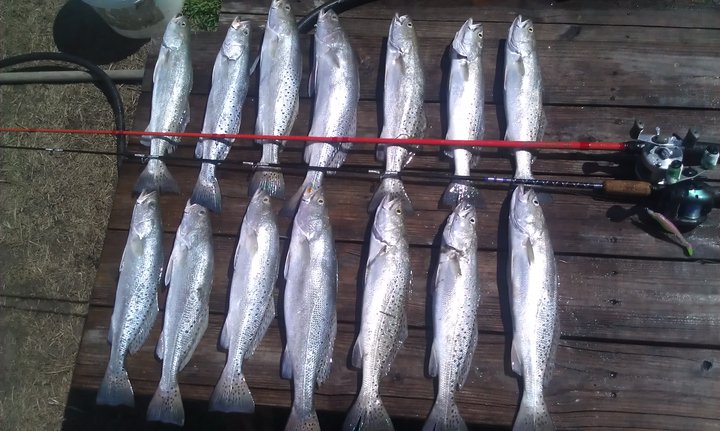 Click image for larger version

Name:	tro=ut.jpg
Views:	1
Size:	85.5 KB
ID:	571414