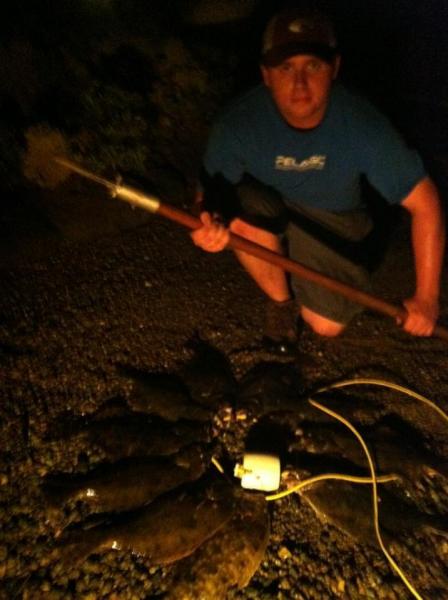 Click image for larger version

Name:	gsgfl3.jpg
Views:	1
Size:	33.9 KB
ID:	572408