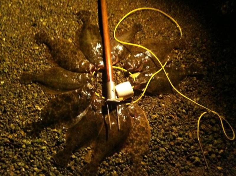 Click image for larger version

Name:	gsgfl1.jpg
Views:	1
Size:	89.1 KB
ID:	572406