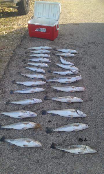 Click image for larger version

Name:	SLP822PM.jpg
Views:	1
Size:	44.5 KB
ID:	574615