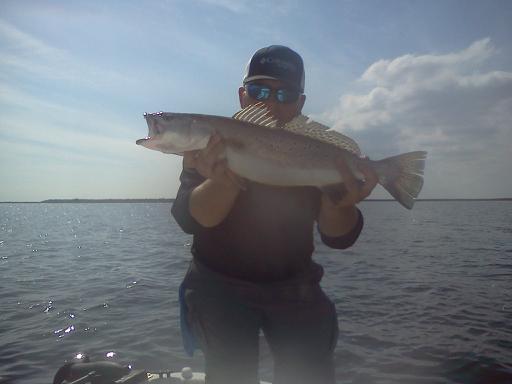 Click image for larger version

Name:	cb21.jpg
Views:	1
Size:	18.7 KB
ID:	574874