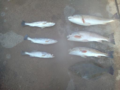 Click image for larger version

Name:	cb20.jpg
Views:	1
Size:	23.1 KB
ID:	574873