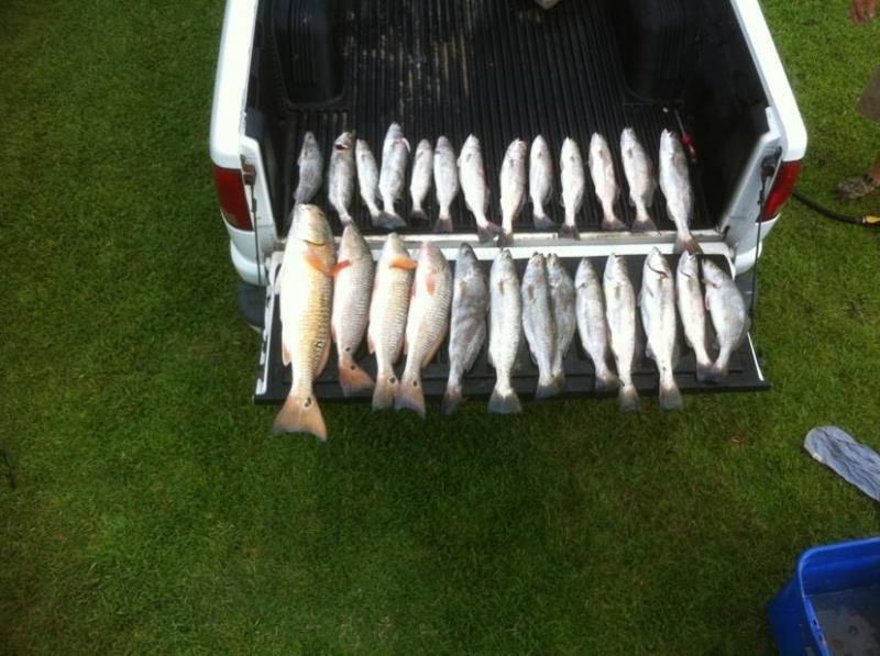 Click image for larger version

Name:	surf8211.jpg
Views:	1
Size:	71.8 KB
ID:	572593