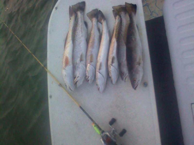 Click image for larger version

Name:	greens.jpg
Views:	1
Size:	40.2 KB
ID:	571170