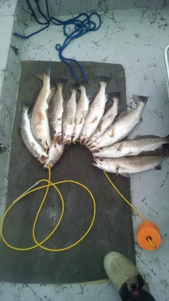 Click image for larger version

Name:	15.jpg
Views:	1
Size:	32.1 KB
ID:	576767