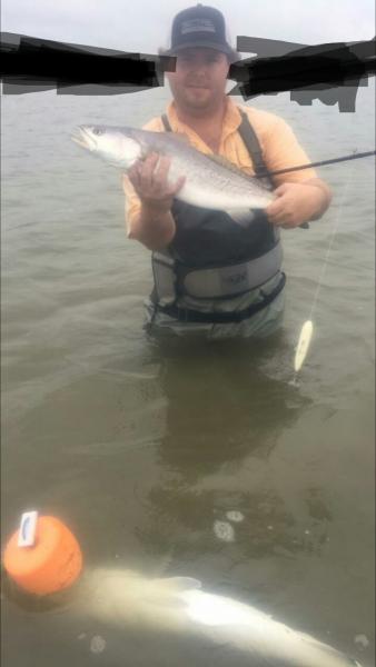 Click image for larger version

Name:	14.jpg
Views:	1
Size:	19.5 KB
ID:	576766