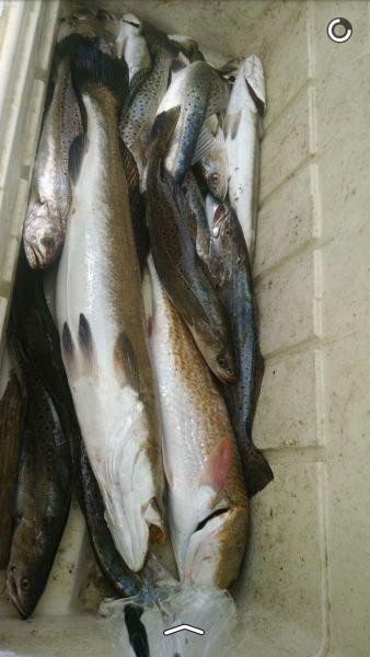 Click image for larger version

Name:	13.jpg
Views:	1
Size:	33.4 KB
ID:	576765