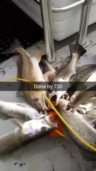 Click image for larger version

Name:	11.jpg
Views:	1
Size:	25.7 KB
ID:	576763