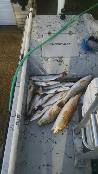 Click image for larger version

Name:	oct2.jpg
Views:	1
Size:	35.8 KB
ID:	562184