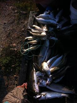 Click image for larger version

Name:	gsgsurf14.jpg
Views:	1
Size:	41.3 KB
ID:	572254