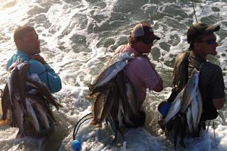 Click image for larger version

Name:	gsgsurf11.jpg
Views:	1
Size:	65.6 KB
ID:	572251