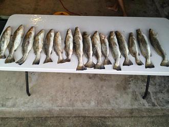 Click image for larger version

Name:	gsgsurf9.jpg
Views:	1
Size:	59.1 KB
ID:	572249