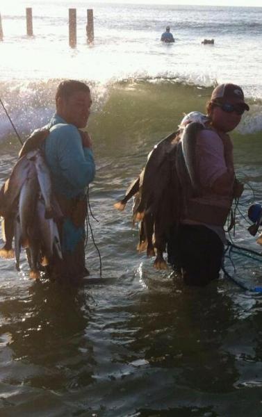 Click image for larger version

Name:	surf bro.jpg
Views:	2
Size:	32.6 KB
ID:	558612