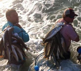 Click image for larger version

Name:	gsgsurf6.jpg
Views:	1
Size:	59.0 KB
ID:	572246