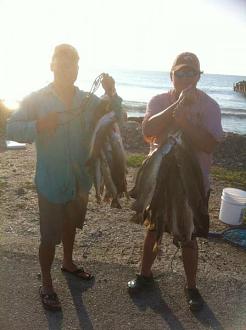 Click image for larger version

Name:	gsgsurf5.jpg
Views:	1
Size:	34.3 KB
ID:	572245