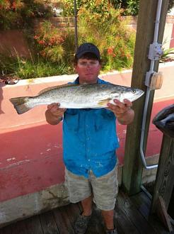 Click image for larger version

Name:	gsgsurf4.jpg
Views:	1
Size:	44.5 KB
ID:	572244