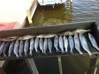 Click image for larger version

Name:	gsgsurf3.jpg
Views:	1
Size:	62.9 KB
ID:	572243