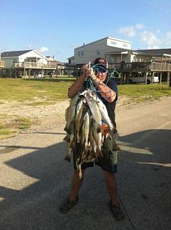 Click image for larger version

Name:	gsg surf2.jpg
Views:	1
Size:	41.5 KB
ID:	572242