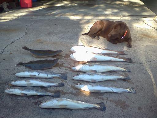 Click image for larger version

Name:	cb12.jpg
Views:	1
Size:	36.1 KB
ID:	574833