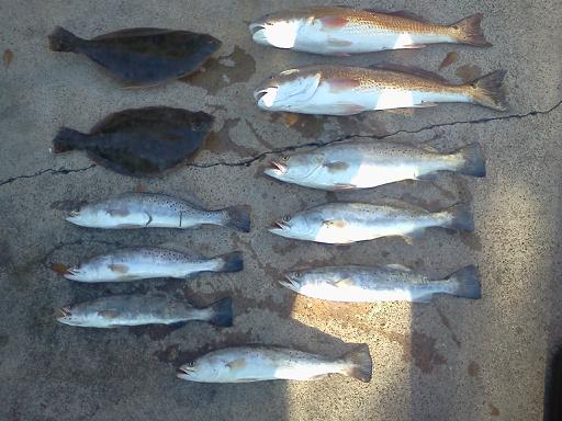 Click image for larger version

Name:	cb11.jpg
Views:	1
Size:	39.9 KB
ID:	574832