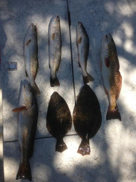 Click image for larger version

Name:	924.jpg
Views:	1
Size:	40.4 KB
ID:	574709