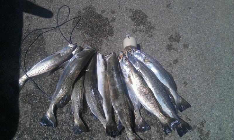 Click image for larger version

Name:	surf122.jpg
Views:	1
Size:	77.8 KB
ID:	574281