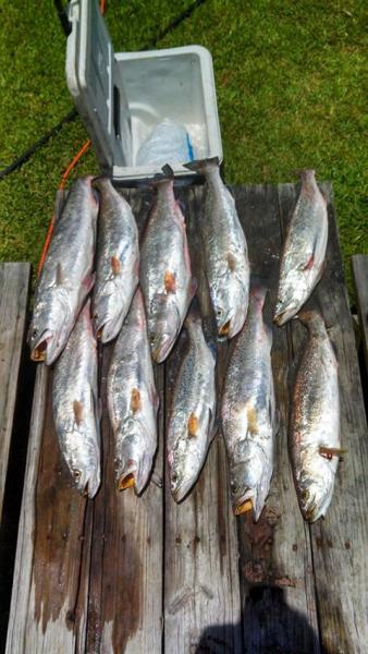 Click image for larger version

Name:	surf121.jpg
Views:	1
Size:	45.3 KB
ID:	574280