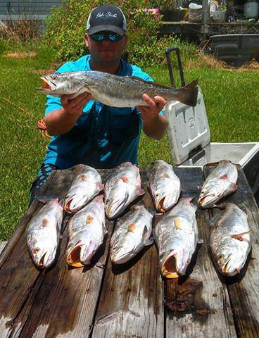 Click image for larger version

Name:	surf12.jpg
Views:	1
Size:	44.8 KB
ID:	574279