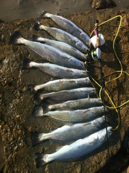 Click image for larger version

Name:	surf893.jpg
Views:	1
Size:	55.1 KB
ID:	572501