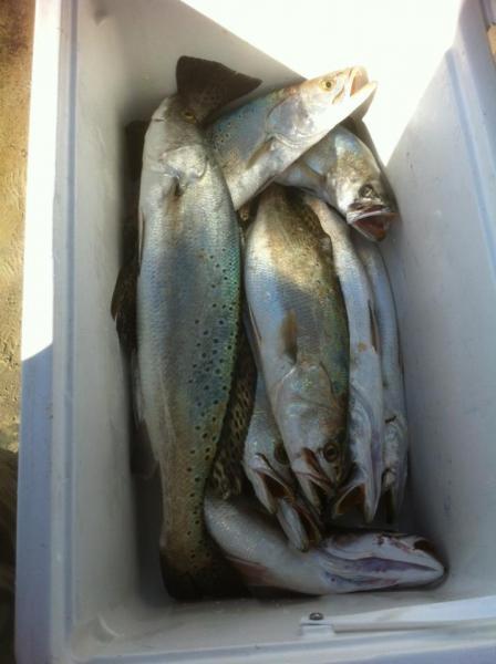 Click image for larger version

Name:	surf891.jpg
Views:	1
Size:	30.5 KB
ID:	572499