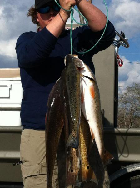 Click image for larger version

Name:	redsss.jpg
Views:	1
Size:	37.5 KB
ID:	571104