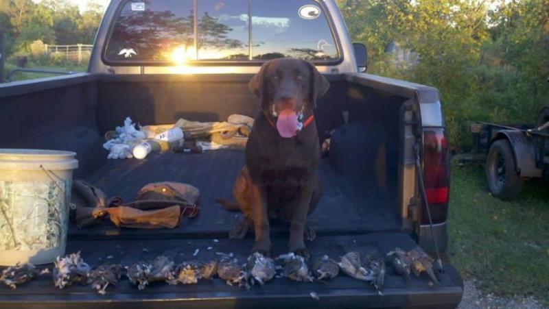 Click image for larger version

Name:	dove2.jpg
Views:	1
Size:	47.3 KB
ID:	574757