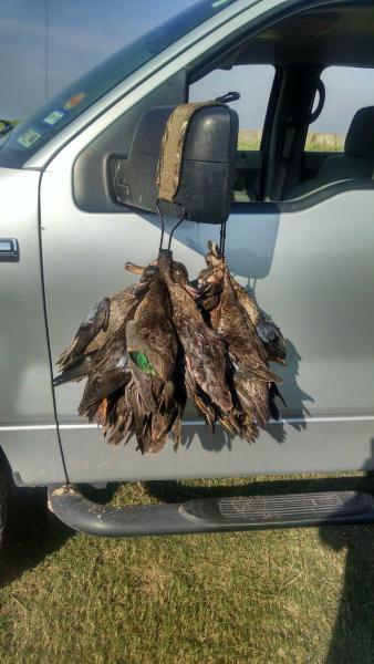 Click image for larger version

Name:	10.jpg
Views:	1
Size:	38.0 KB
ID:	576691